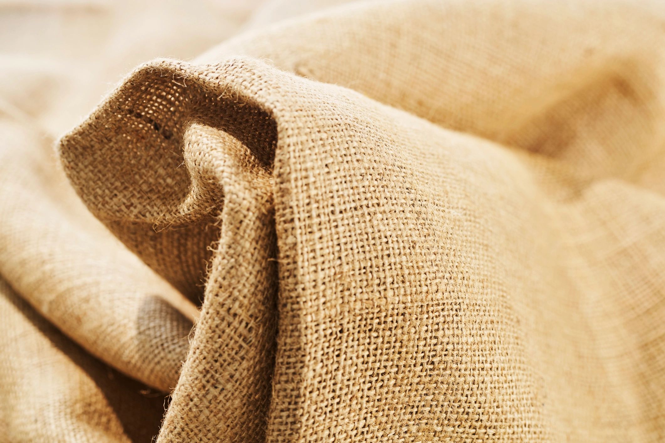 Textured canvas fabric showing durable natural material